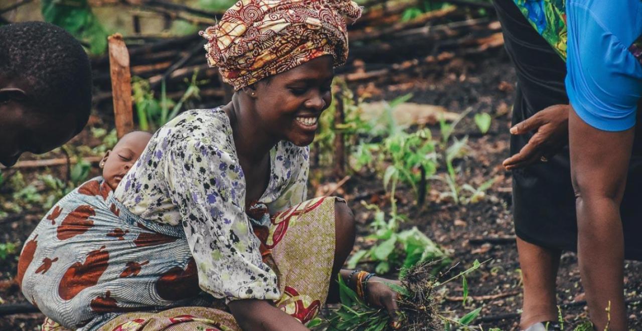 A woman with sleeping child on her back harvests crops