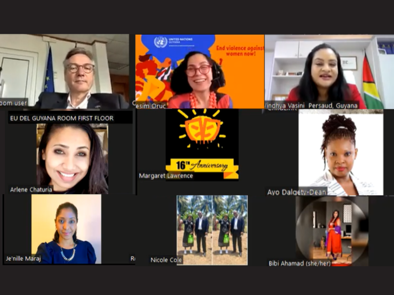 Screengrab of Phase II Virtual Meeting Attendants 