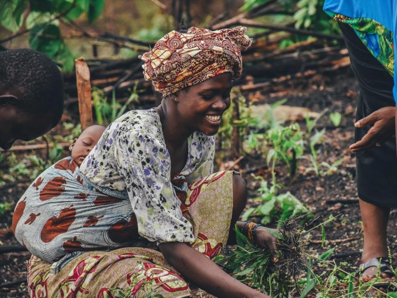 A woman with sleeping child on her back harvests crops