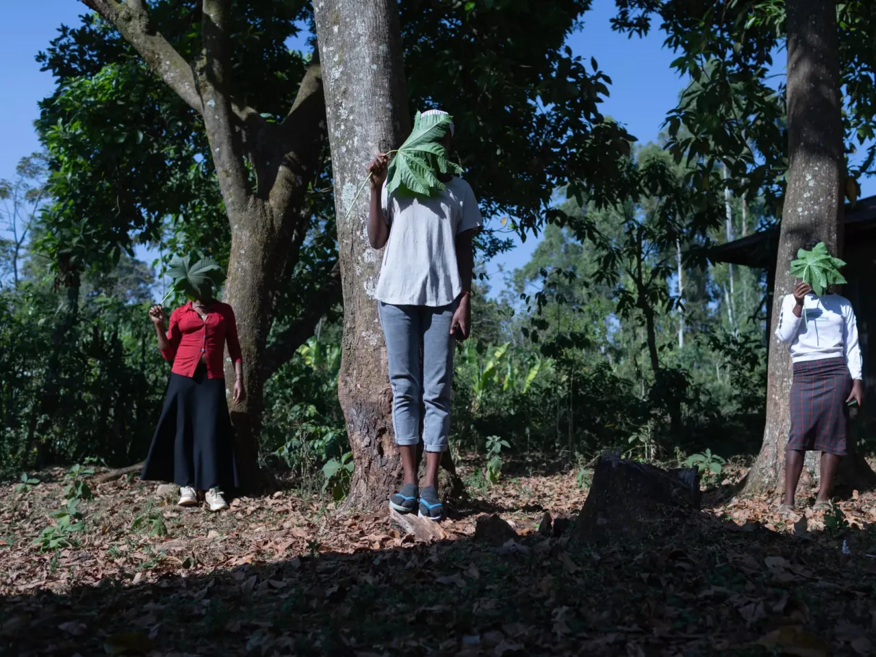 Three young women standing under a tree with faces obscured by leaves