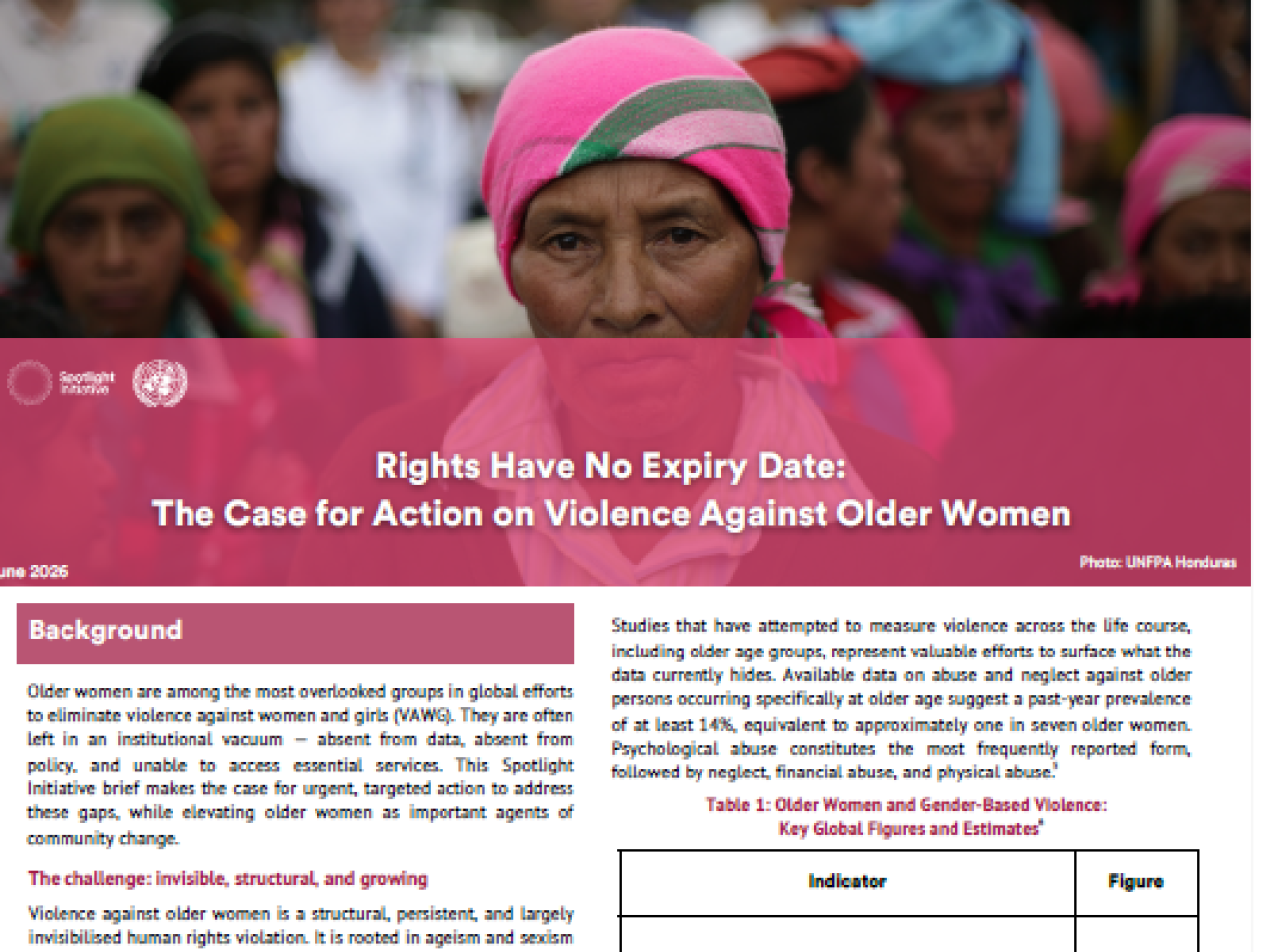 Title page of text reads: Case for action on violence against older women