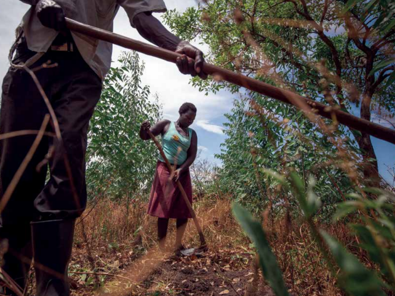 A woman and man doing agricultural work