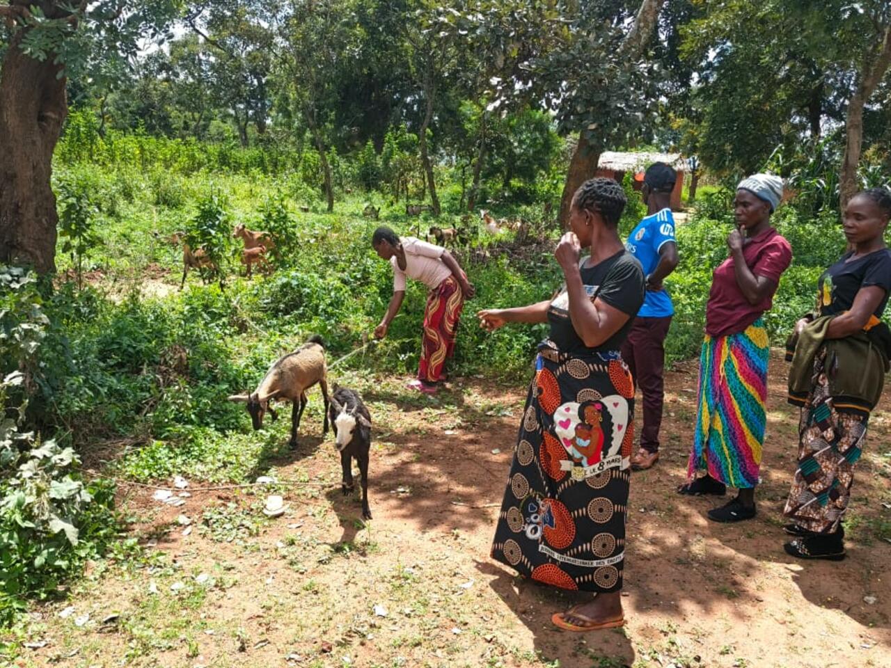 Women from Madaliso Group in Chipangali district