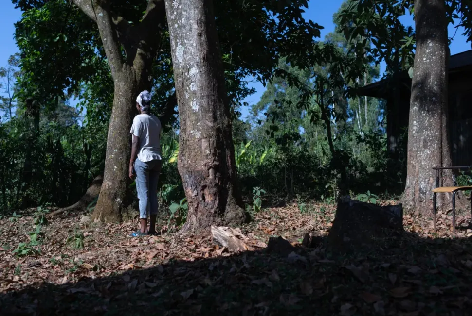 Girl under tree facing away from camera