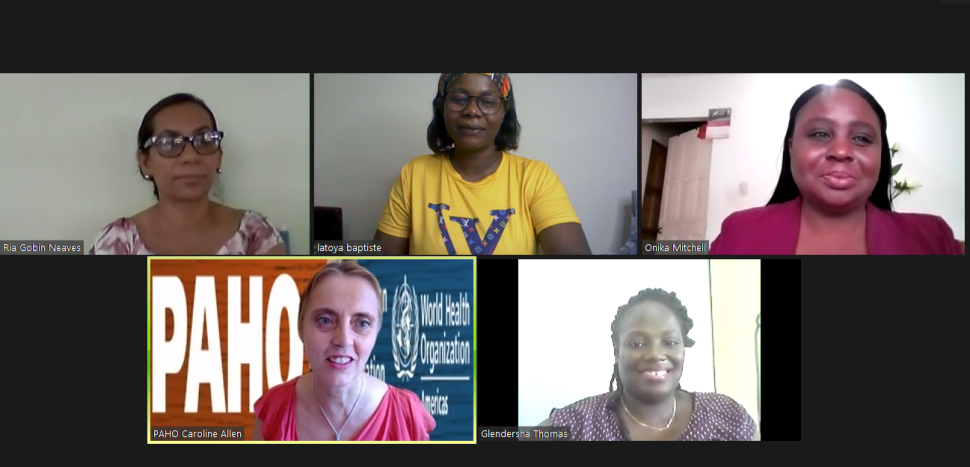 Dr. Caroline Allen in virtual training session with healthcare workers. 