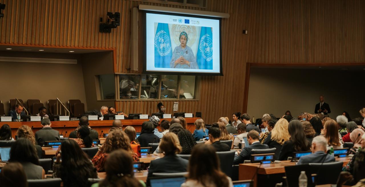 Wide shot of full UNGA conference room
