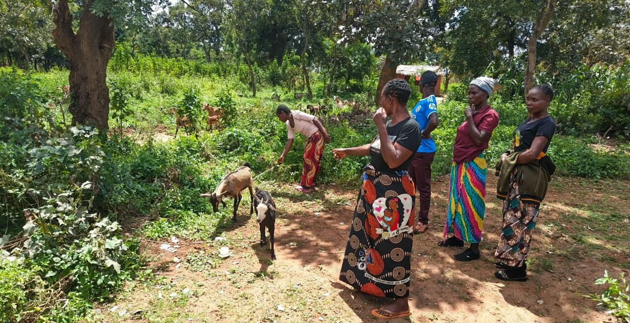 Women from Madaliso Group in Chipangali district