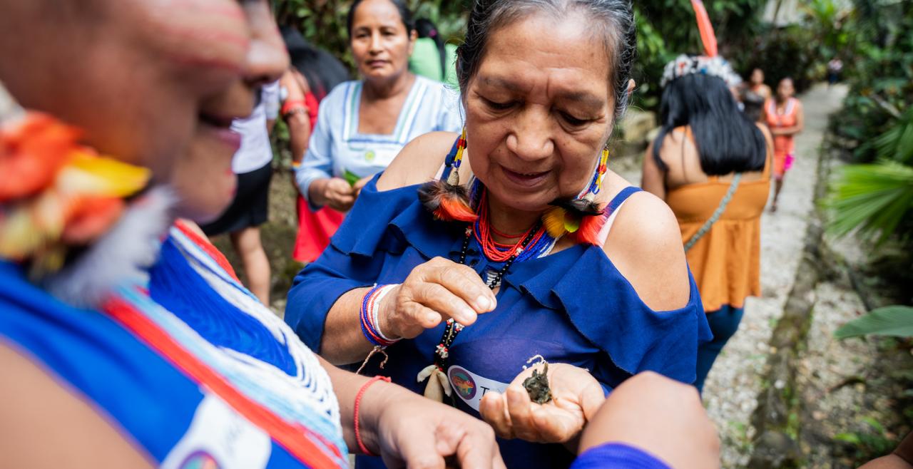 Indigenous race into Ecuador's to escape coronavirus, Coronavirus pandemic