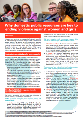 Why domestic public resources are key to ending violence against women and girls